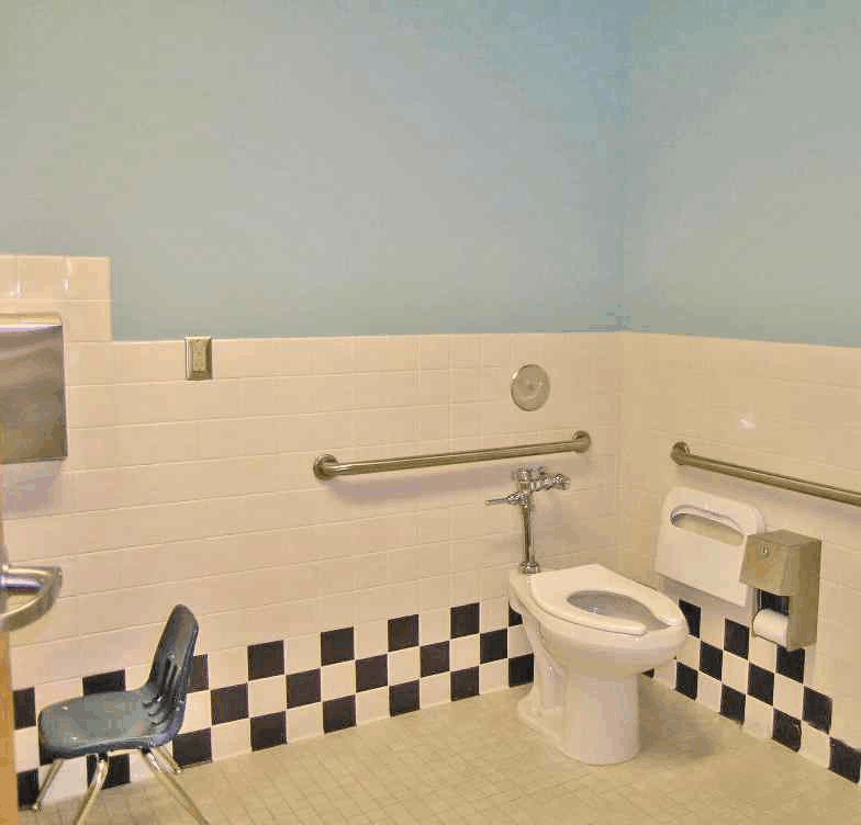 Fully accessible toilet with grab bars
