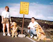 Stanleys with dogs at overlook