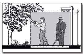 a man who is blind and using a cane and a man cutting an overhead tree branch