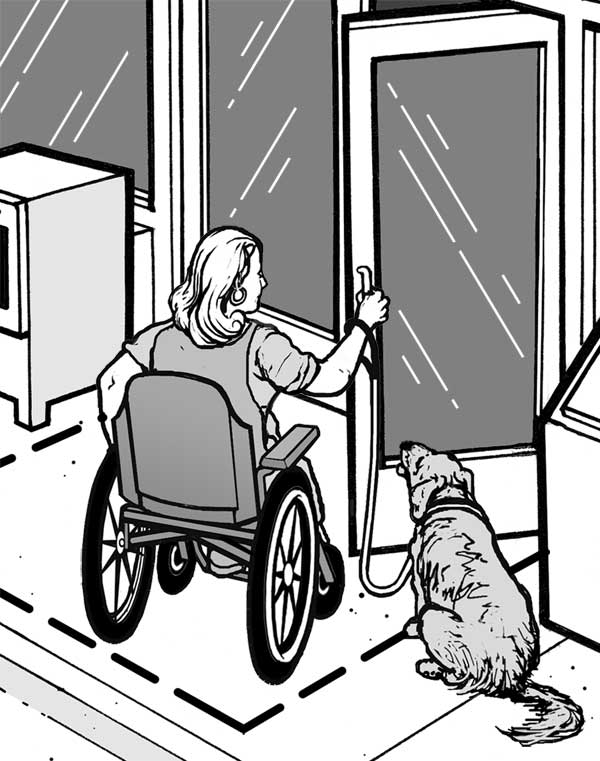 woman using a wheelchair and her service animal enter a town building